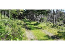 8132 Gabarus Highway, Gabarus, NS B1K2B1 Photo 26
