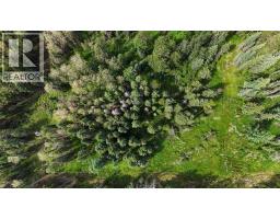 Range Road 85, Rural Brazeau County, AB T7A2A3 Photo 8