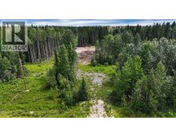 Range Road 85, Rural Brazeau County, AB T7A2A3 Photo 13