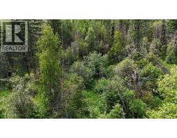 Range Road 85, Rural Brazeau County, AB T7A2A3 Photo 10