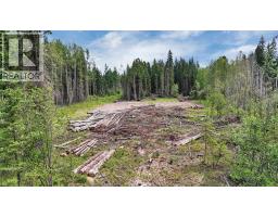Range Road 85, Rural Brazeau County, AB T7A2A3 Photo 14