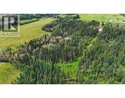 Range Road 85, Rural Brazeau County, AB T7A2A3 Photo 7