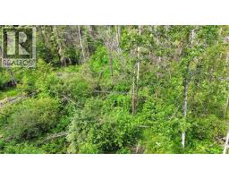 Range Road 85, Rural Brazeau County, AB T7A2A3 Photo 18