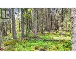 Range Road 85, Rural Brazeau County, AB T7A2A3 Photo 22