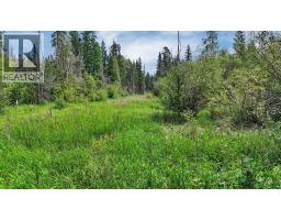 Range Road 85, Rural Brazeau County, AB T7A2A3 Photo 21