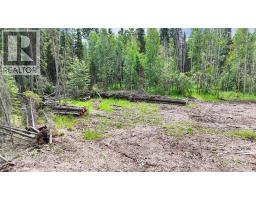 Range Road 85, Rural Brazeau County, AB T7A2A3 Photo 15