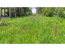 Range Road 85, Rural Brazeau County, AB T7A2A3 Photo 23