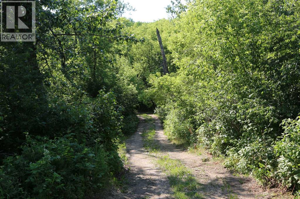 44101, #342 Range Road 214 - Image 25