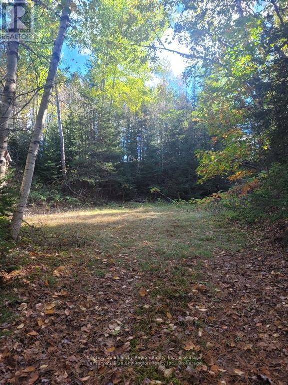 Pt Lt 33 Con 5 Hummel Line — photo 17