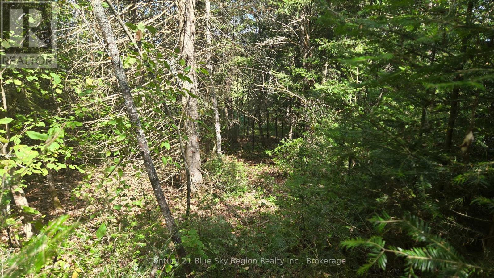 Pt Lt 33 Con 5 Hummel Line — photo 24