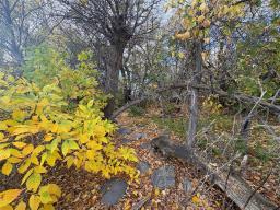 113 Bayduza Drive, Dauphin, MB R7N2T3 Photo 9