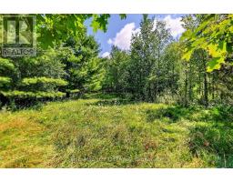 00 Piper's Bay Lane, Rideau Lakes, ON K0G1V0 Photo 12