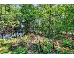 00 Piper's Bay Lane, Rideau Lakes, ON K0G1V0 Photo 36