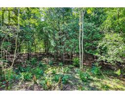 00 Piper's Bay Lane, Rideau Lakes, ON K0G1V0 Photo 37
