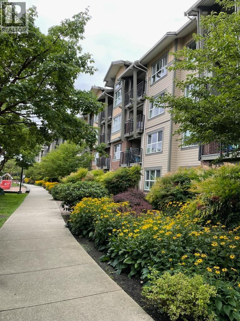 302 5885 IRMIN STREET, Burnaby