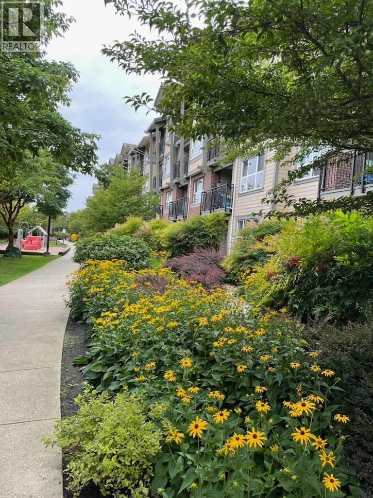302 5885 IRMIN STREET, Burnaby