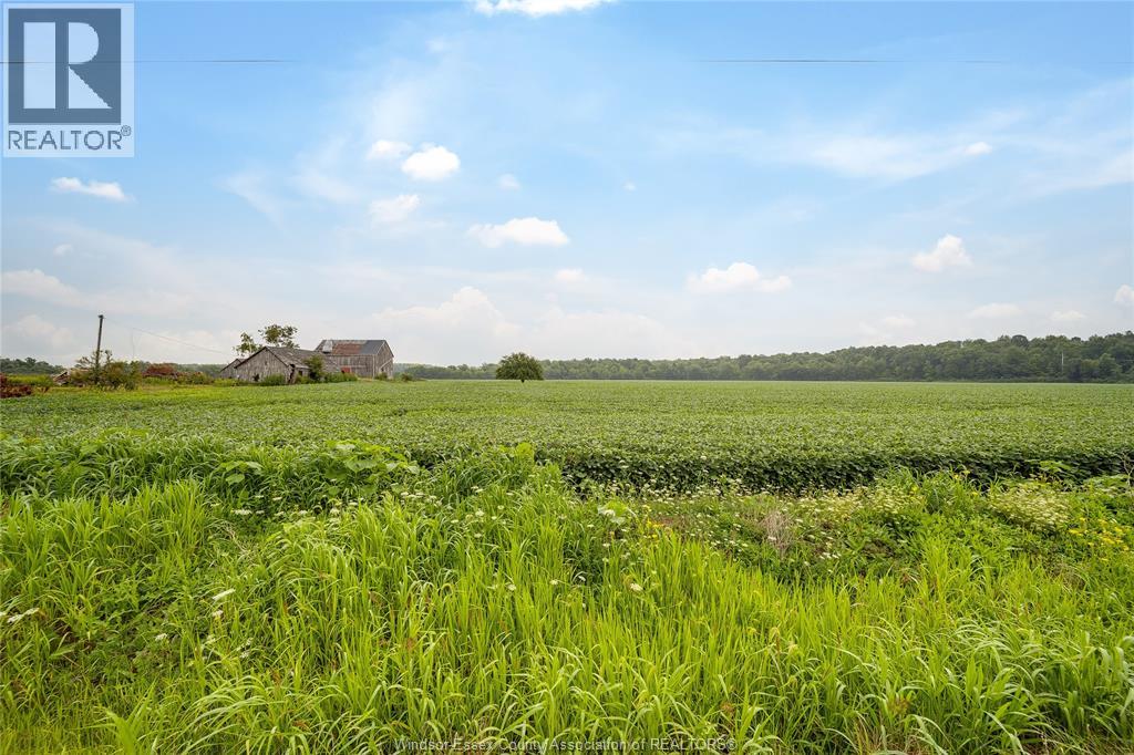 1094 HALE SCHOOL Road, Dawn-Euphemia, Ontario, N0P1K0, Dawn-Euphemia, Ontario — photo 4 of 5