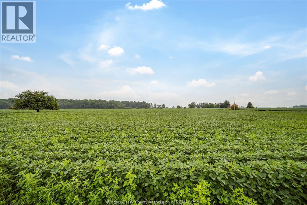 1094 HALE SCHOOL Road, Dawn-Euphemia, Ontario, N0P1K0, Dawn-Euphemia, Ontario — photo 5 of 5