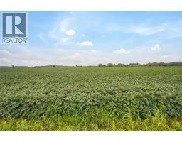 1094 Hale School Road, Dawn Euphemia, ON N0P1K0 Photo 6