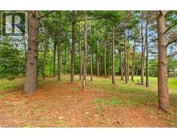 7079 Rainham Road, Dunnville, ON N1A2W8 Photo 44