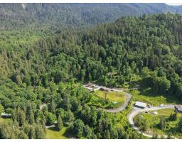 51860 Hack-brown Road, Eastern Hillsides, Chilliwack, BC V4Z1L1 Photo 34