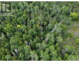 2099 Bidwell Road, Manitowaning, ON P0P1N0 Photo 25