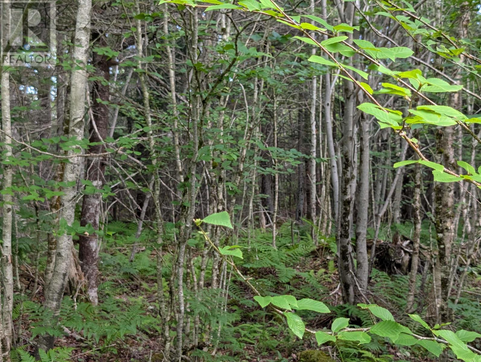 Property 8 of 11 of 80 Acres Dalrymple Rd Road