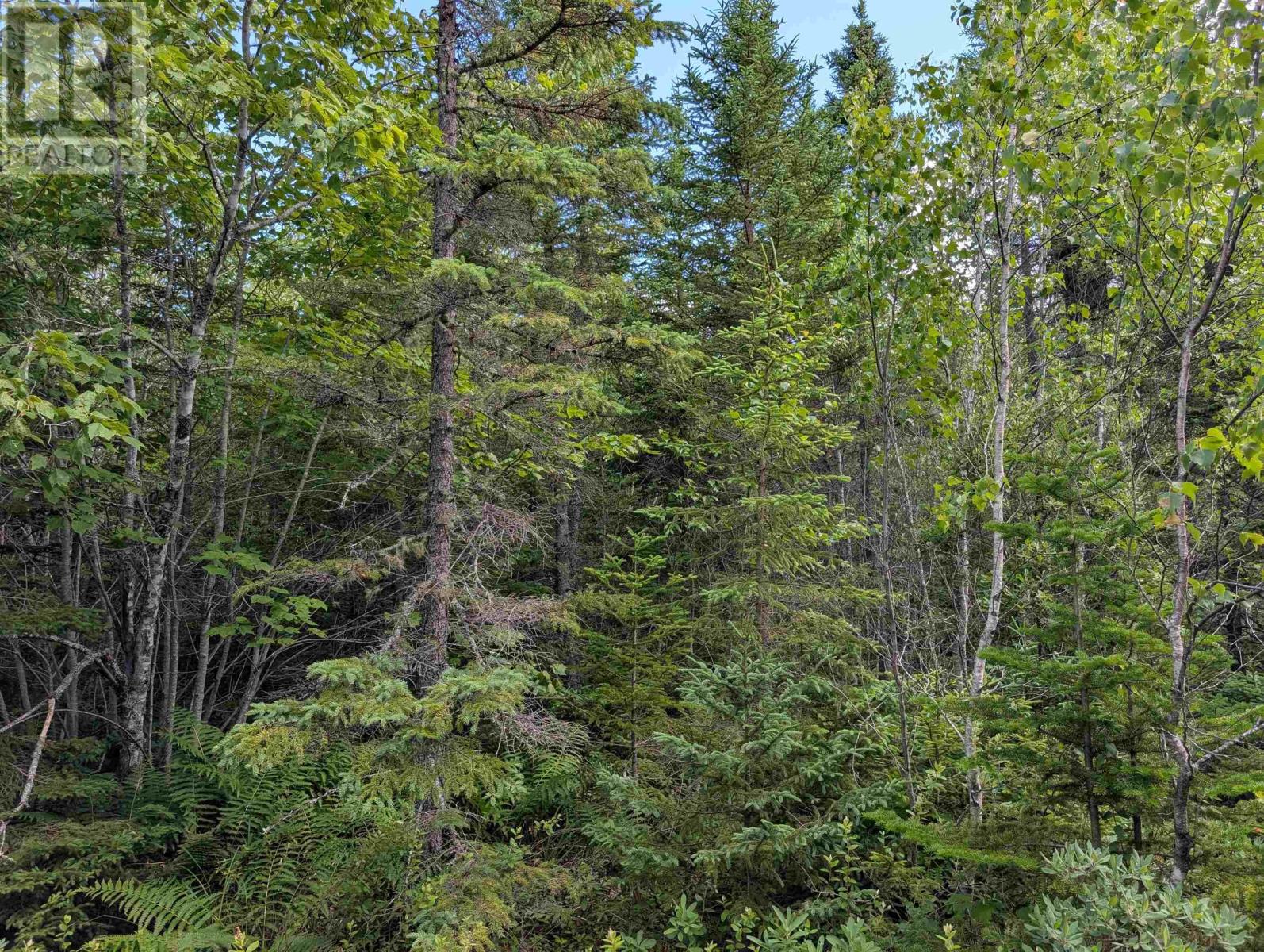 Property 10 of 11 of 80 Acres Dalrymple Rd Road