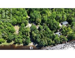 131 Clem Trail, Whitewater Region, ON K0J2L0 Photo 39
