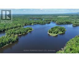 131 Clem Trail, Whitewater Region, ON K0J2L0 Photo 45