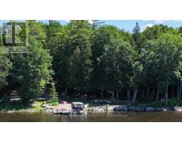 131 Clem Trail, Whitewater Region, ON K0J2L0 Photo 43