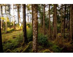 28817 Highway 16, Daajing Giids City, BC V0T1J0 Photo 25