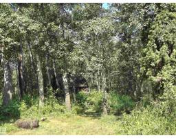 22231 Twp Road 514a, Rural Strathcona County, AB T8C1H4 Photo 11
