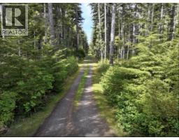 28817 Highway 16, Daajing Giids City, BC V0T1J0 Photo 29