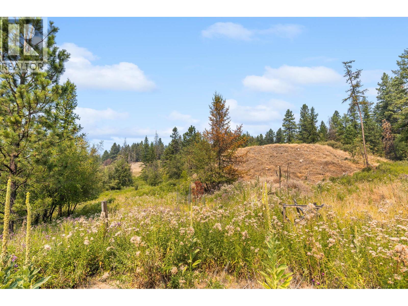 920 Eagle Place, Osoyoos