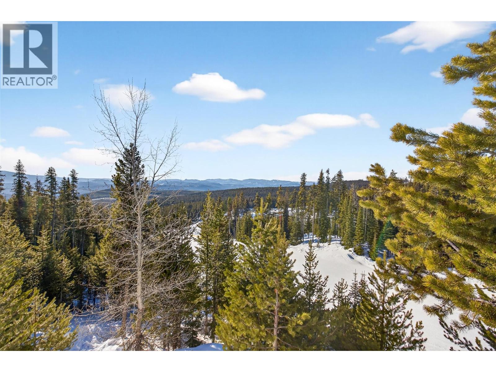 225 Kettle View Road Unit# 104, Big White