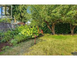Kitchen - 402 Young St, Parksville, BC V9P1C3 Photo 8
