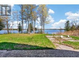 0 Nappan Island Road, Trent Hills, ON K0L2Z0 Photo 11