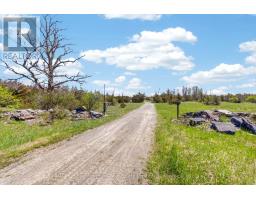 0 Nappan Island Road, Trent Hills, ON K0L2Z0 Photo 9