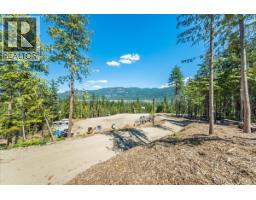 1110 23rd Street, Castlegar, BC V1N3A6 Photo 15