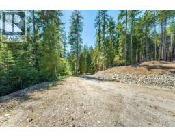 1110 23rd Street, Castlegar, BC V1N3A6 Photo 21