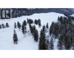 3352 3 Highway, Rock Creek, BC V0H1Y0 Photo 17