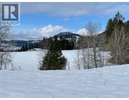 3352 3 Highway, Rock Creek, BC V0H1Y0 Photo 14