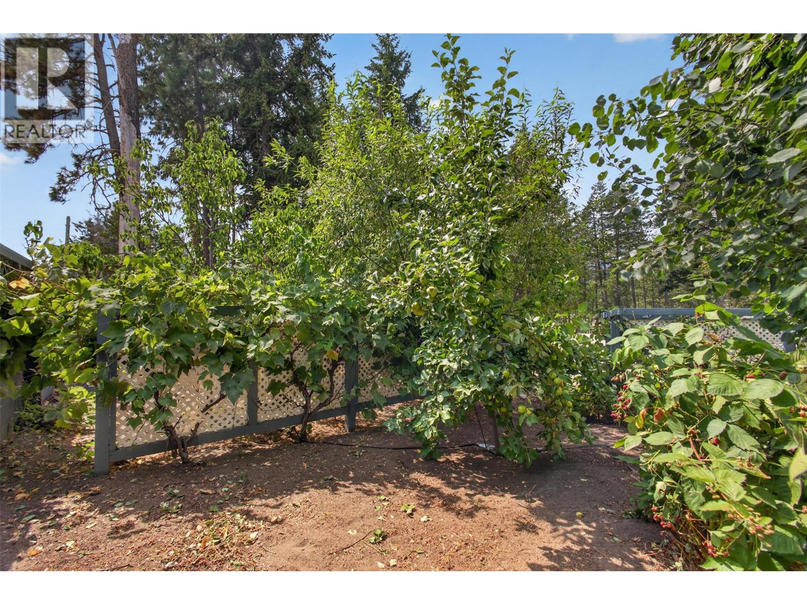 7272 Dunwaters Road - 47
