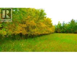 2520855, 1, 2, Lac La Biche, AB T0A2C0 Photo 8