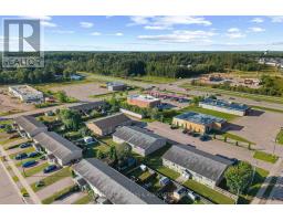 5 Renfrew Street, Petawawa, ON K8H0B6 Photo 11