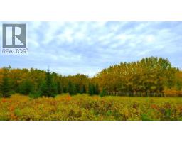 2520854, 1, 6, Lac La Biche, AB T0A2C0 Photo 6