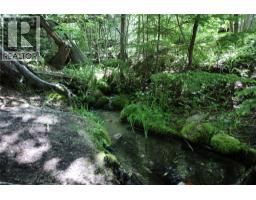7735 Stewart Road, Fauquier, BC V0G1K0 Photo 20