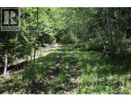 7735 Stewart Road, Fauquier, BC V0G1K0 Photo 21