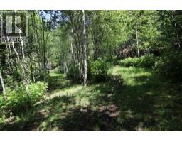 7735 Stewart Road, Fauquier, BC V0G1K0 Photo 17